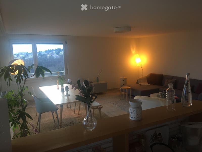 Lumineux 4 pièces - 100 m2 - vue - calme - bien situé (4)