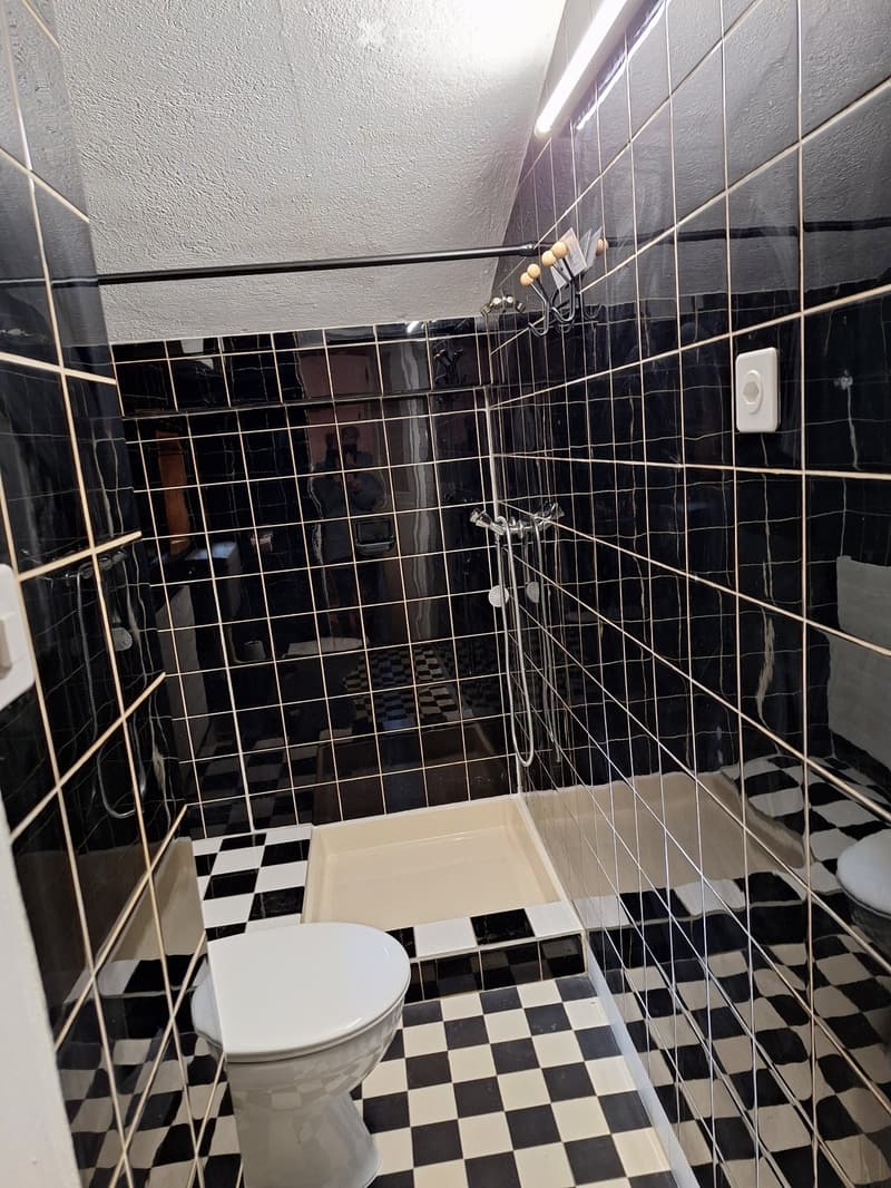 Appartement rénové (3)