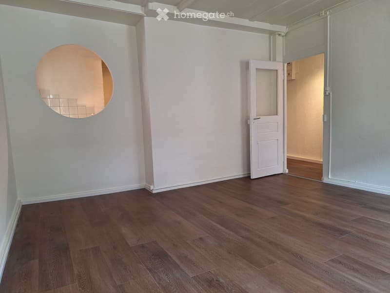 Appartement rénové (1)