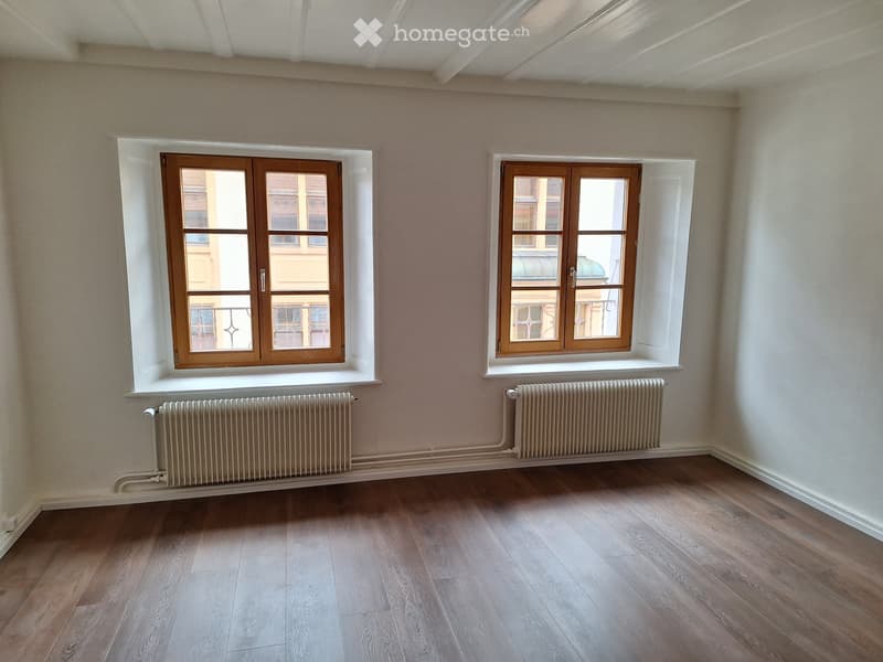 Appartement rénové (4)
