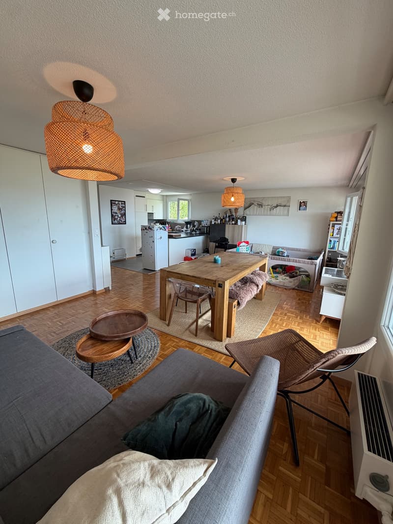 Appartement de 3.5, bail à remettre pour le 31 aout (4)