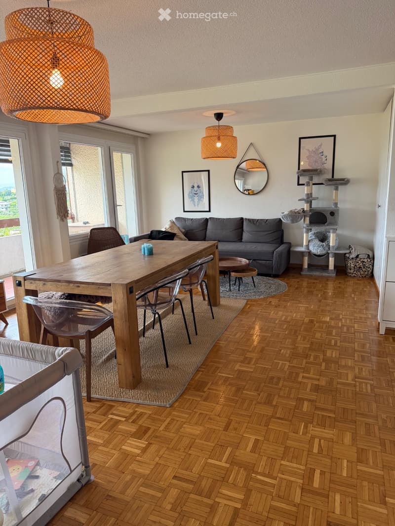 Appartement de 3.5, bail à remettre pour le 31 aout (1)