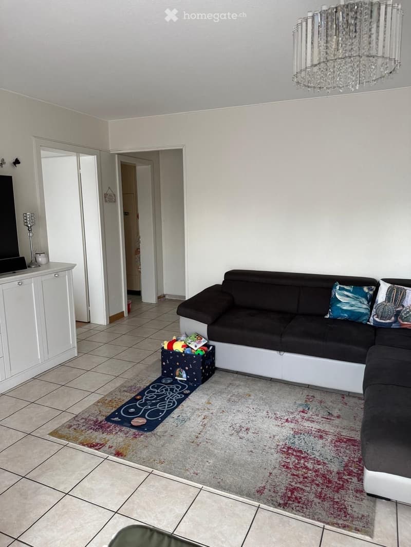 Appartement 2,5 pièces (1)