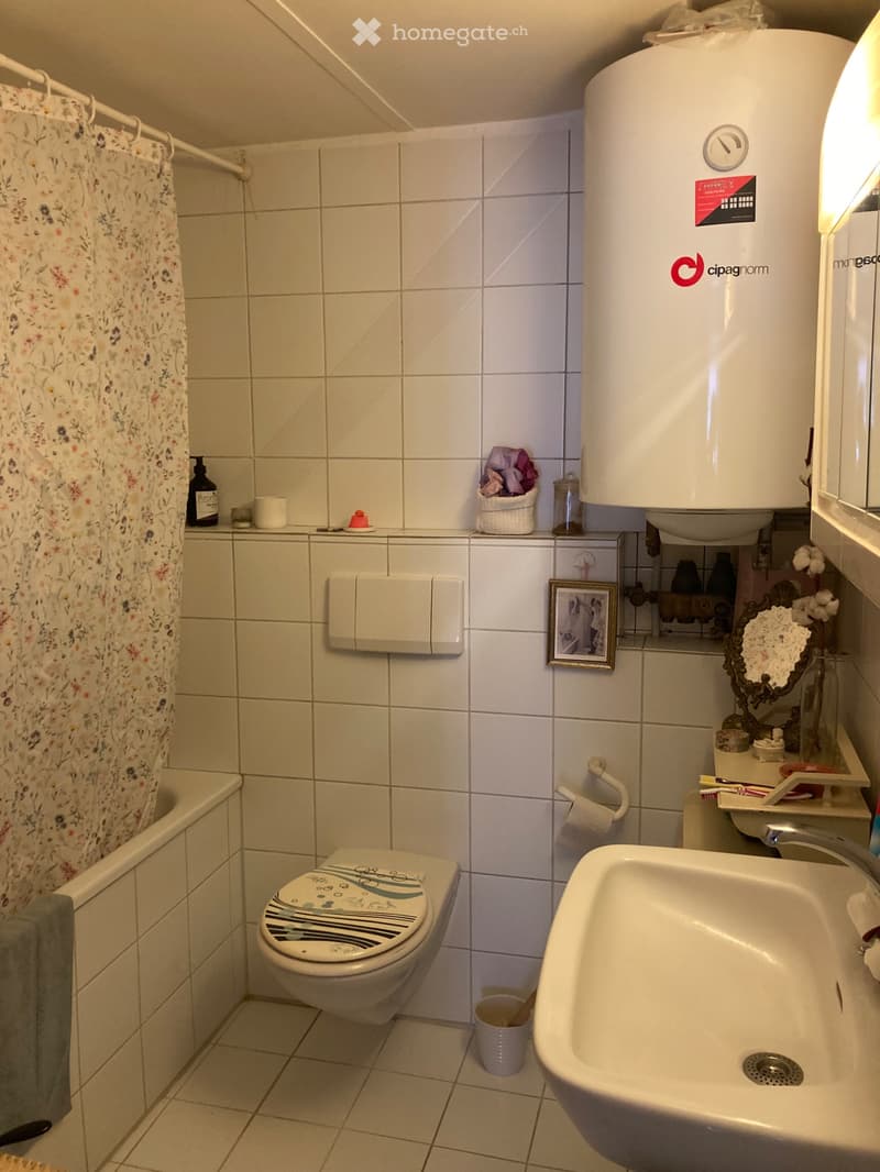 Appartement de 2,5 pièces à sous-louer (4)