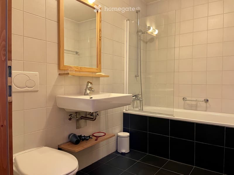 À louer appartements 2,5 pièces + 2 places parc couvertes (5)