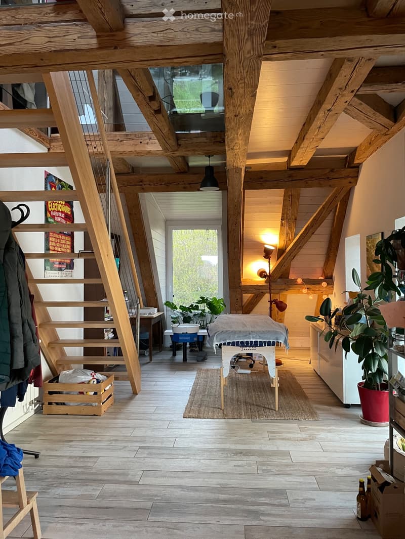 Appartement loft duplex à louer (3)