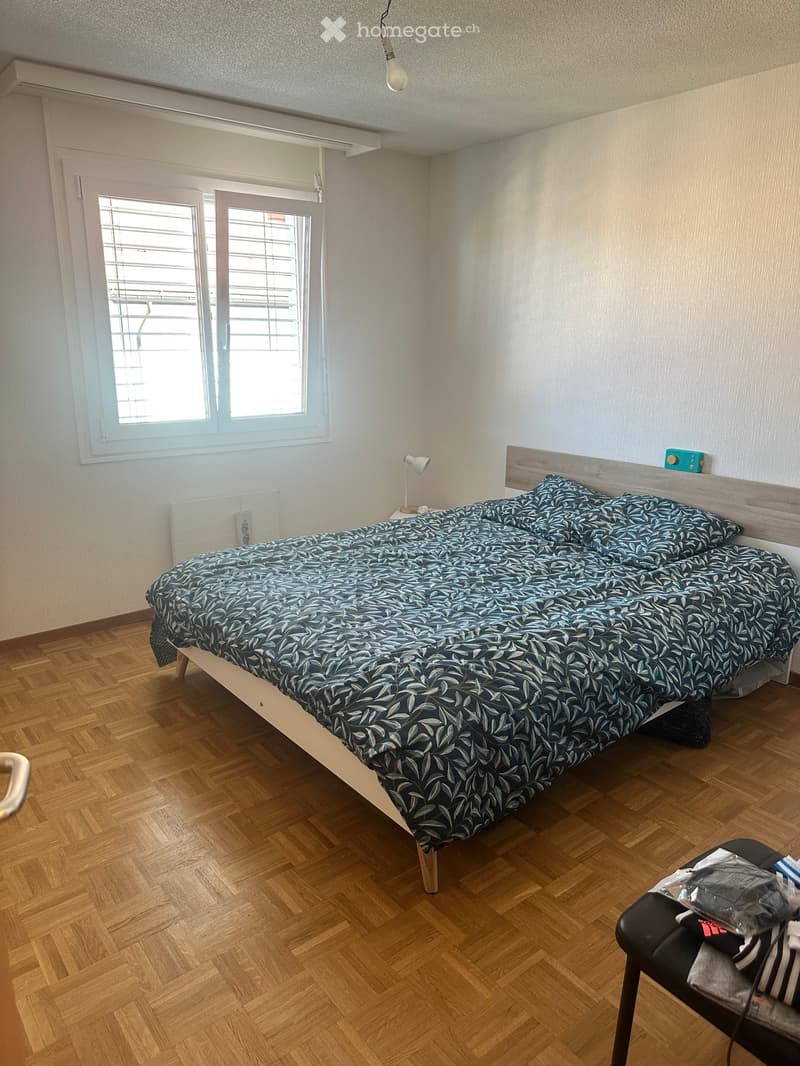 Appartement 3,5 pieces (4)