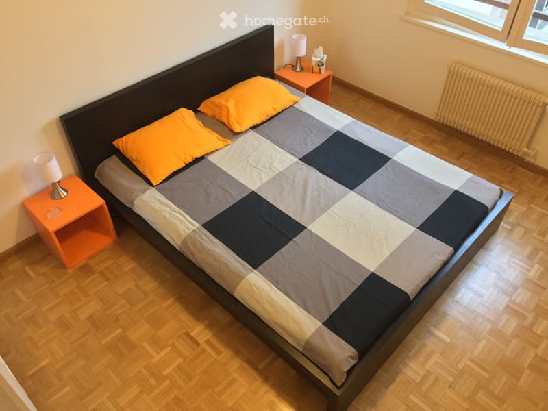 Big room in plainpalais city center (1)