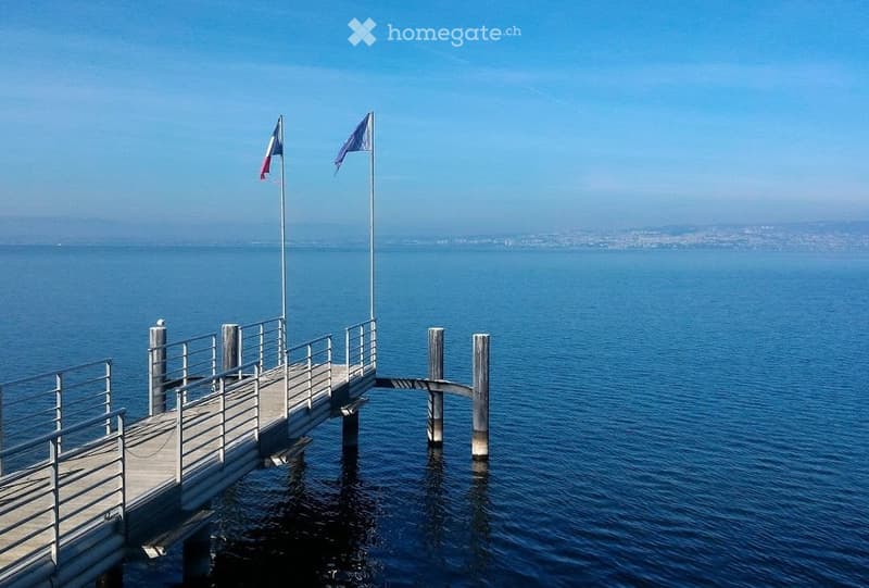 EVIAN LES BAINS - DEMEURE FACE AU LAC (1)