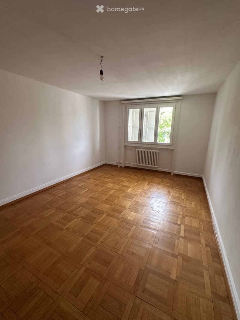 Appartement 2,5 pièces à louer (1)