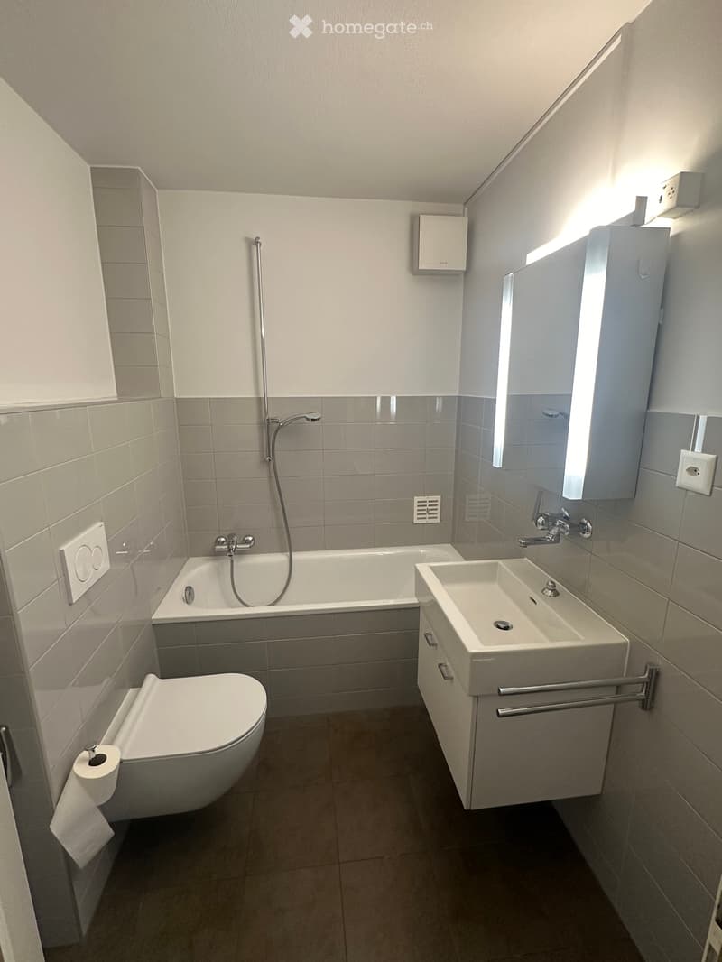 Appartement 2,5 pièces à louer (4)