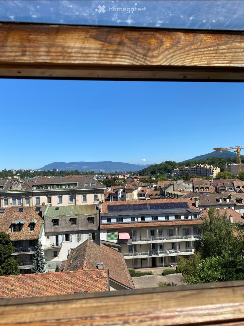 Chambre à louer à Carouge / Room to rent (3)
