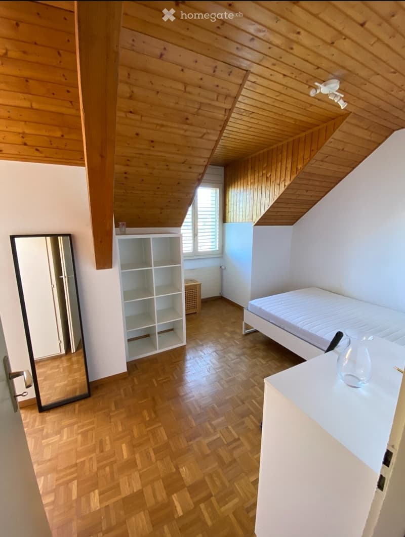 Chambre à louer à Carouge / Room to rent (1)