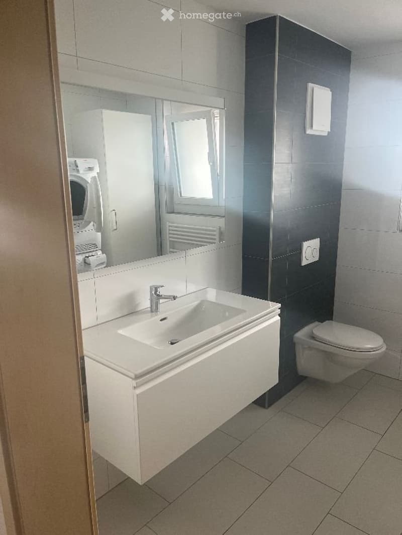 A louer un appartement 2,5 (5)