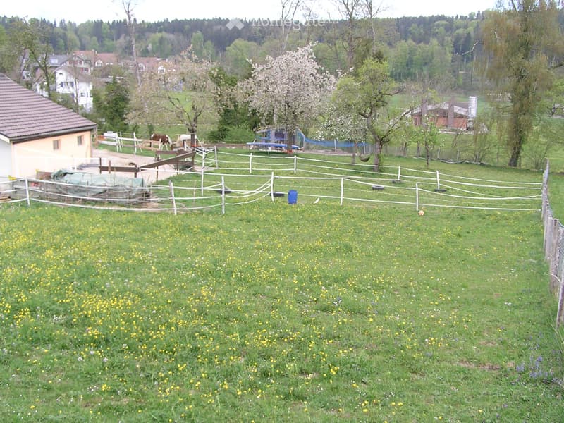Bauernhaus, Pferdestall, Scheune mit 4000m2 Land (3)