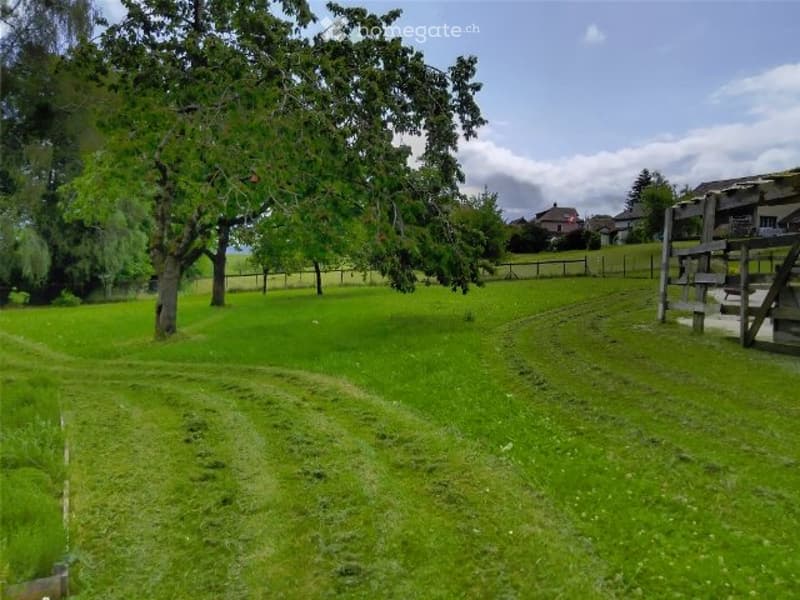 Bauernhaus, Pferdestall, Scheune mit 4000m2 Land (4)
