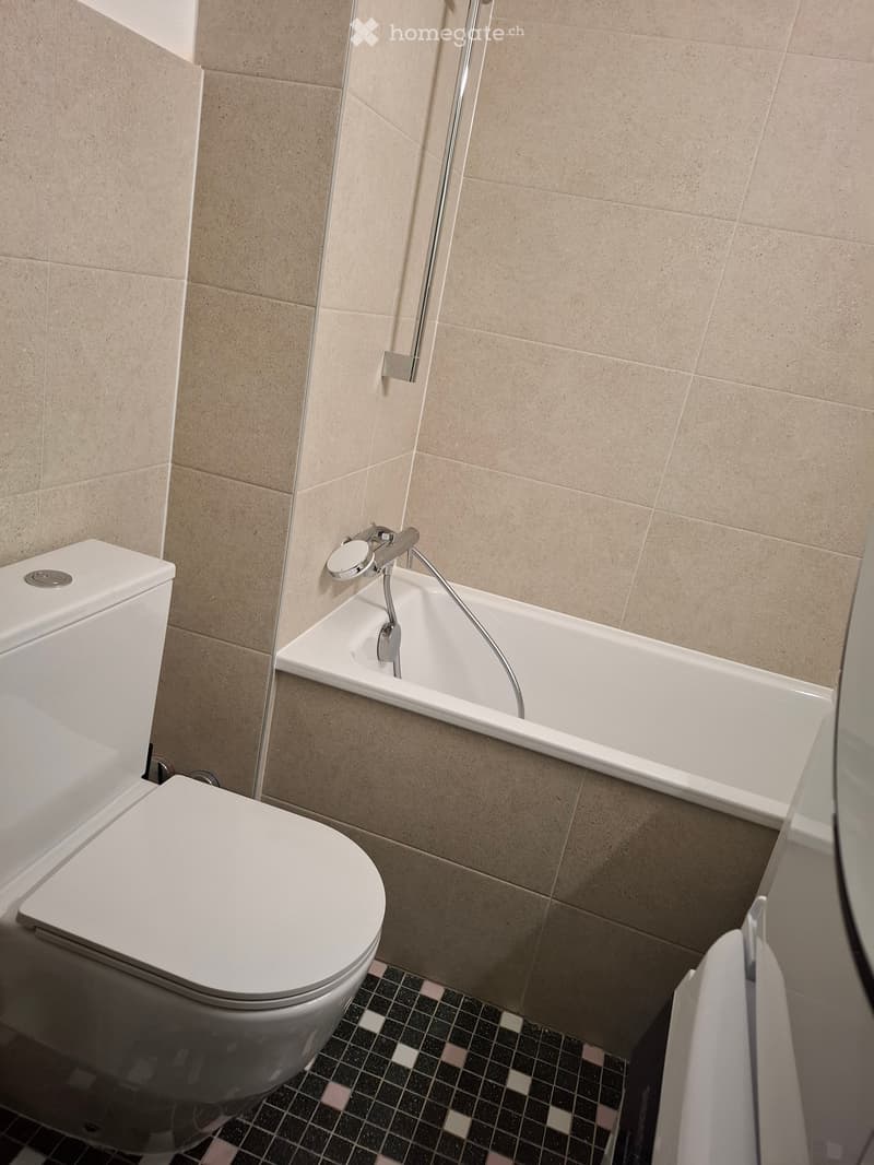 Appartement meublé balcon Vue lac (5)