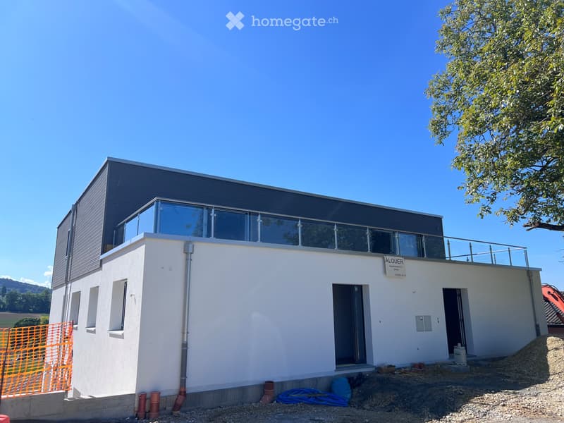 Duplex 4 1/5 à louer, en construction (2)