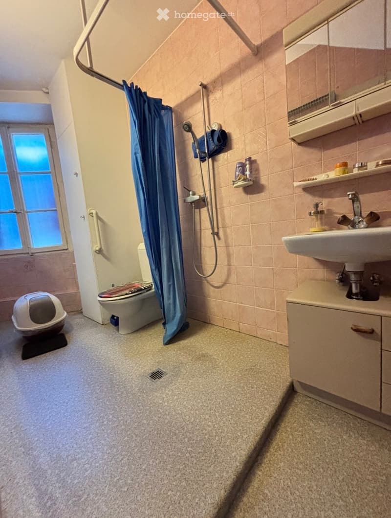 Appartement 2,5 pièces à louer à Châtaignier/Fully (3)