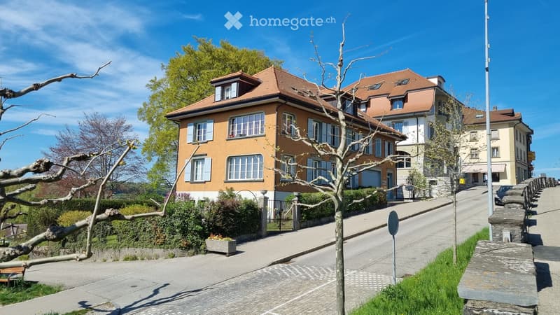 Magnifique appartement lumineux avec jardin (1)
