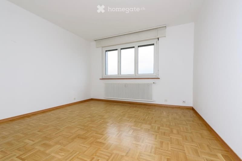 Magnifique appartement, attique (5)