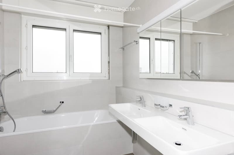 Magnifique appartement, attique (4)