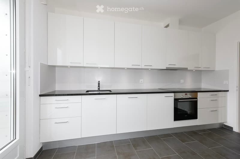 Magnifique appartement, attique (3)