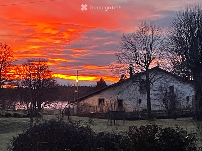 Ferme à renover (3)