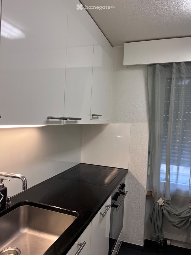 Moderne 2.5-Zimmer-Wohnung im beliebten Länggassquartier (1)