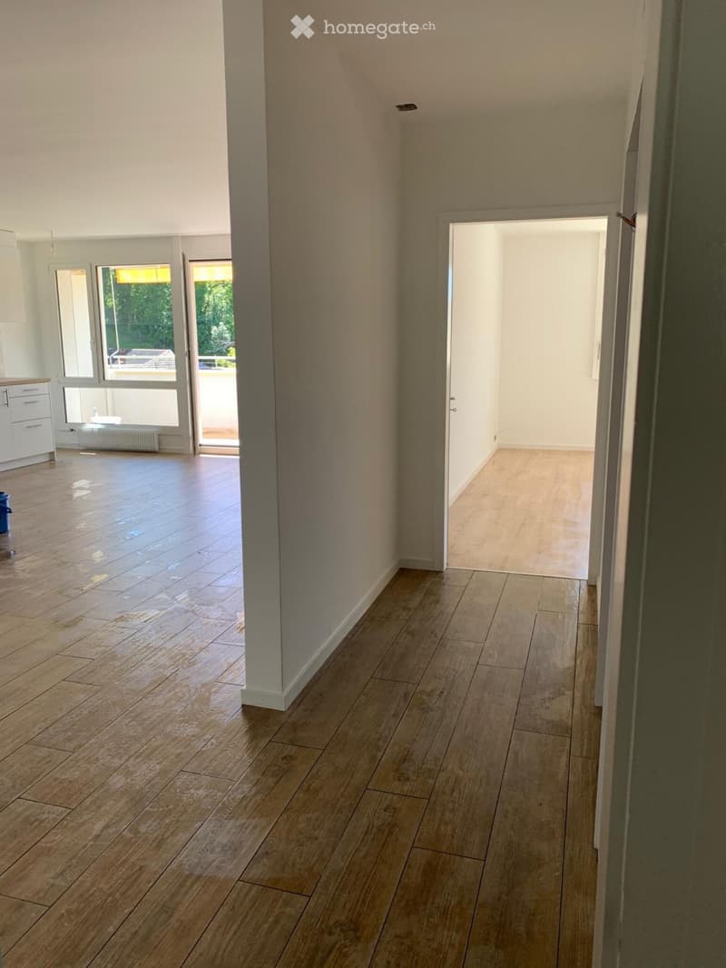 Bel Appartement avec vue dégagée à Chailly (4)