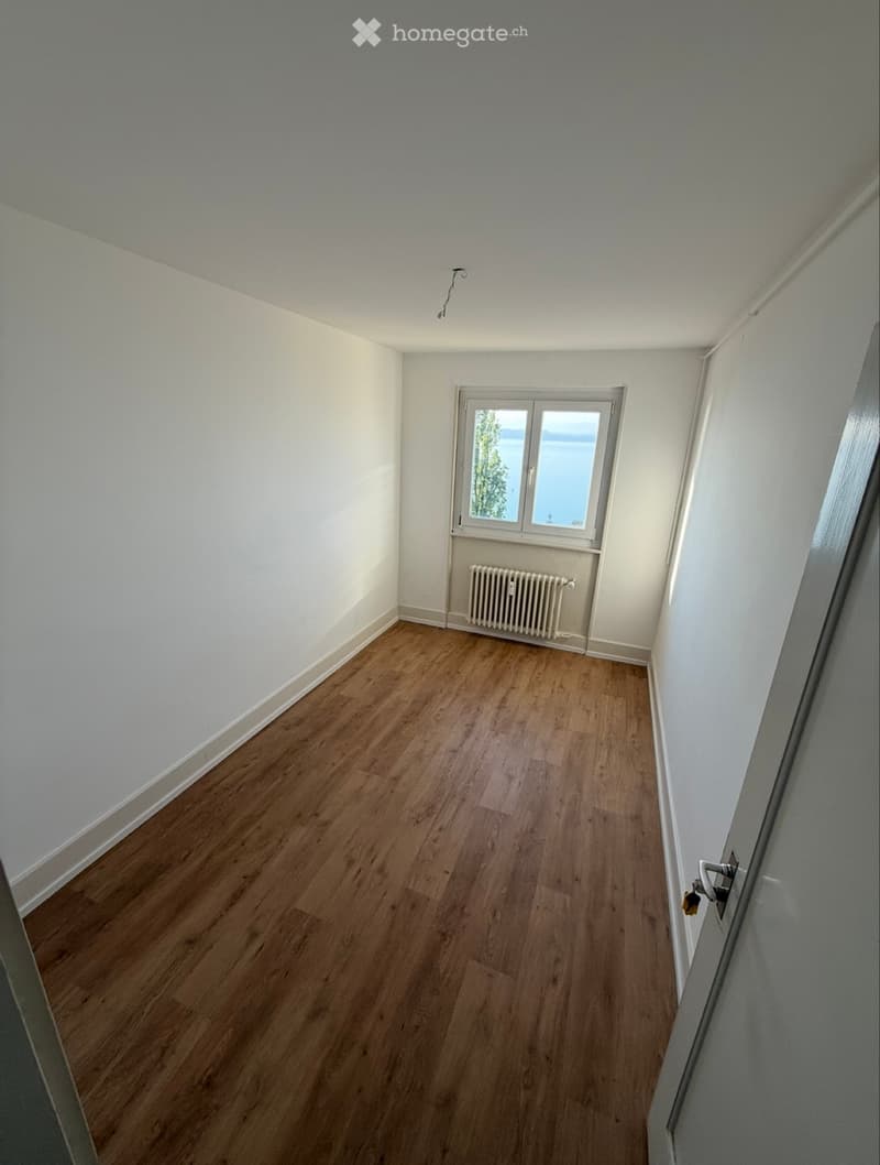 Studio 1 pièce avec magnifique vue sur le lac Neuchâtel (1)