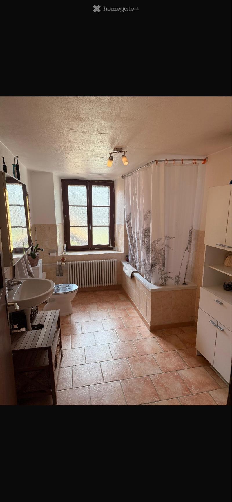 Location dans une ancienne ferme (4)