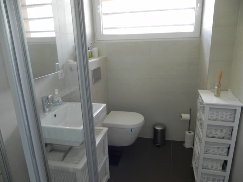 Chambre meublée  jardin et piscine à Rolle (2)