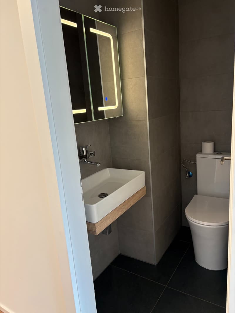 Appartement à vendre Sion (7)