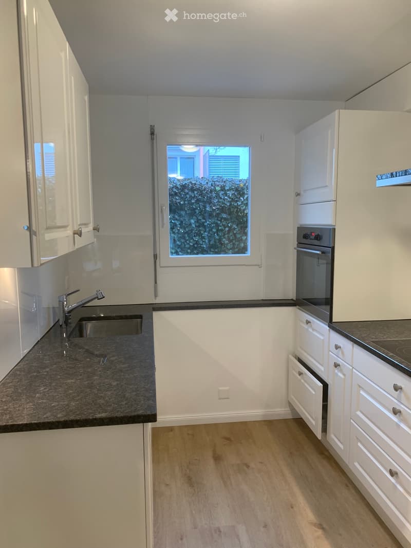 Reihen Eck-Einfamilienhaus 5,5 Zimmer (1)