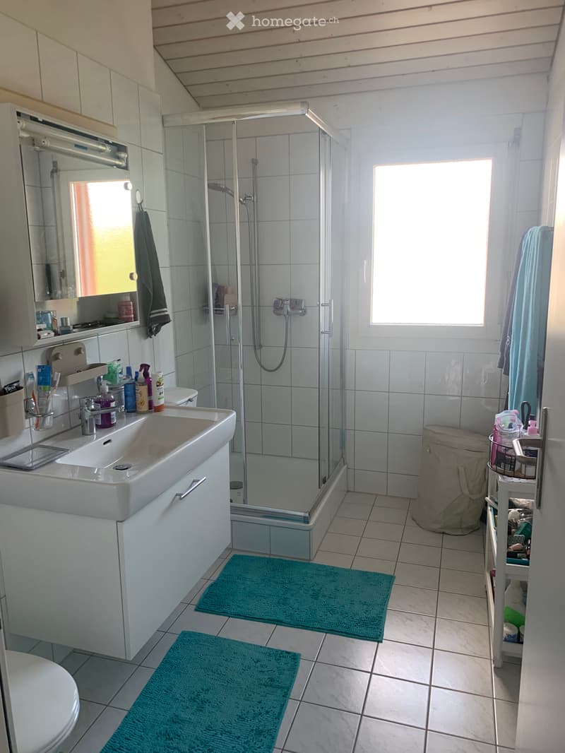 Reihen Eck-Einfamilienhaus 5,5 Zimmer (2)