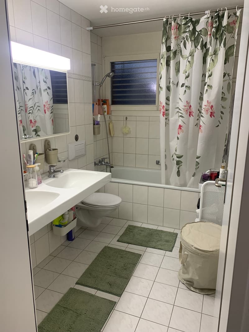 Reihen Eck-Einfamilienhaus 5,5 Zimmer (4)