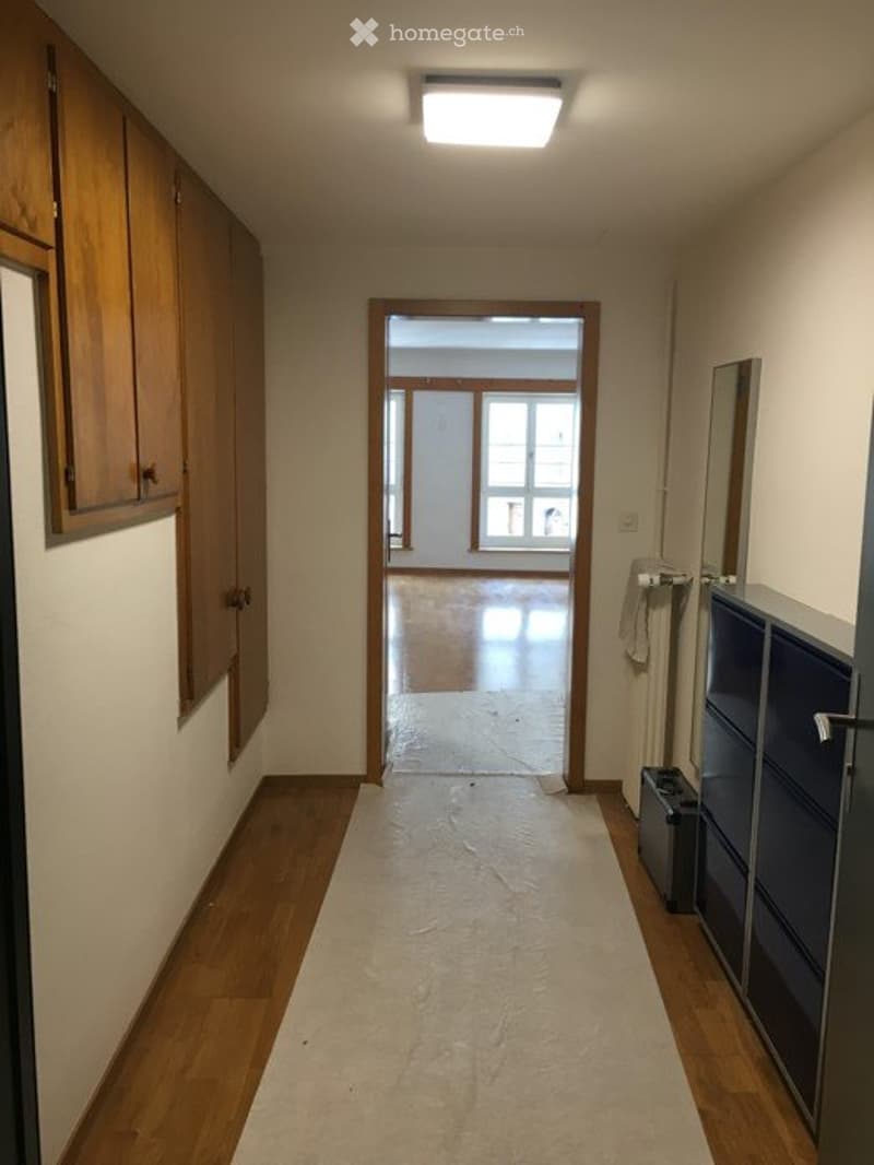 Helle und grosszügige 2-Zimmerwohnung mit offener Küche (5)