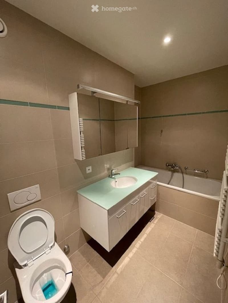 Carouge A VENDRE magnifique appartement 4p + box une place (2)