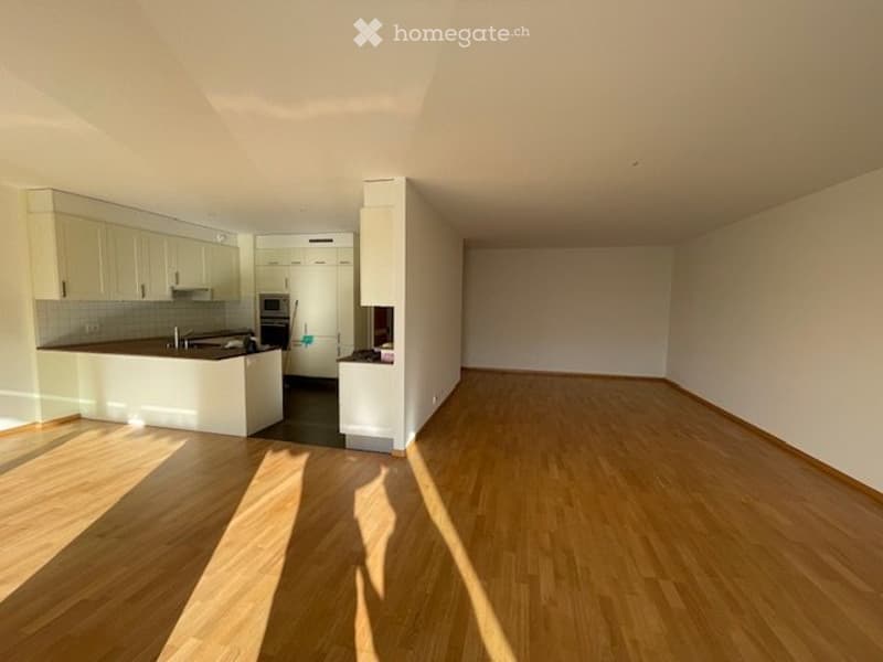 Carouge A VENDRE magnifique appartement 4p + box une place (1)