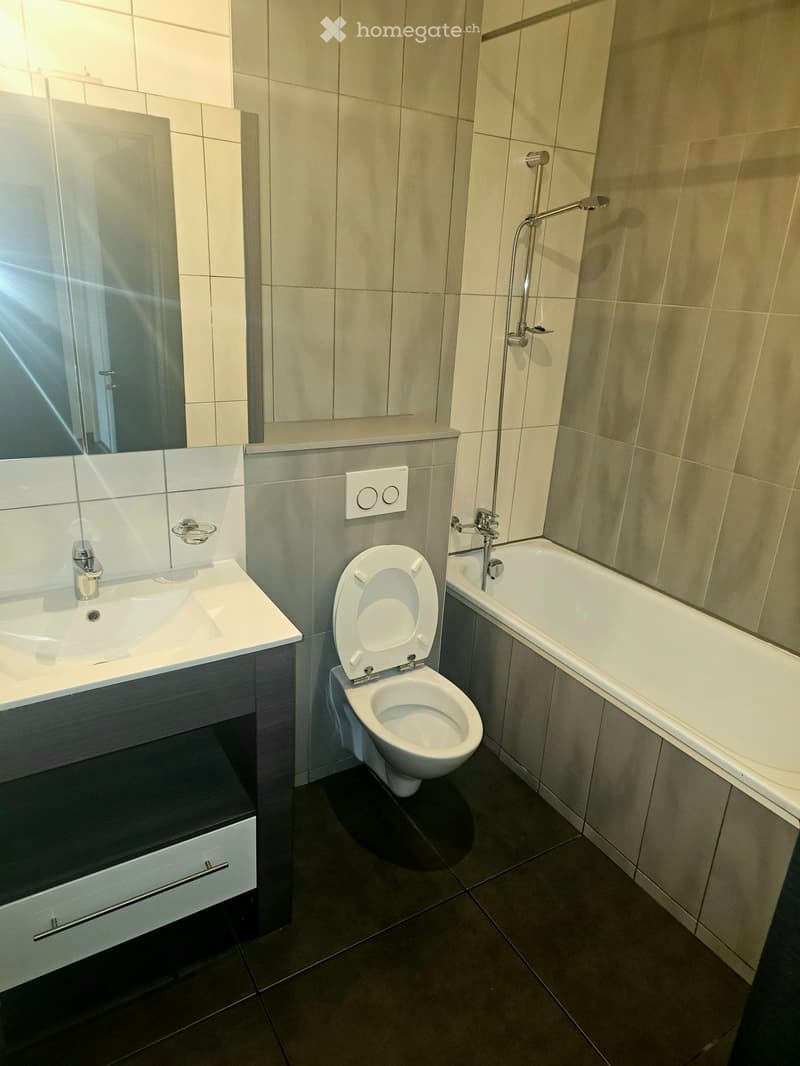 Lumineux Appartement   4,5 pièces (2)