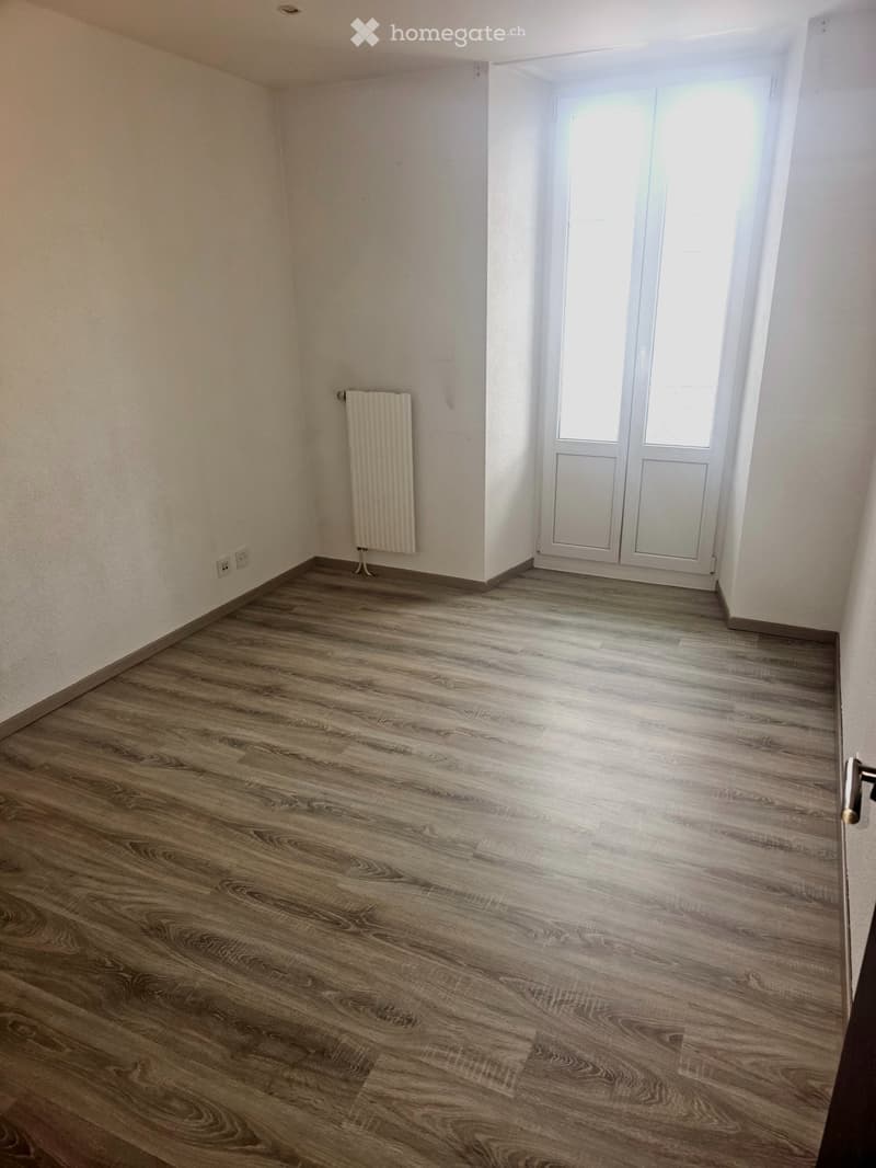 Lumineux Appartement   4,5 pièces (3)
