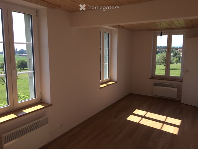 schöne 2.5 Zimmer Wohnung in Bauernhaus (4)