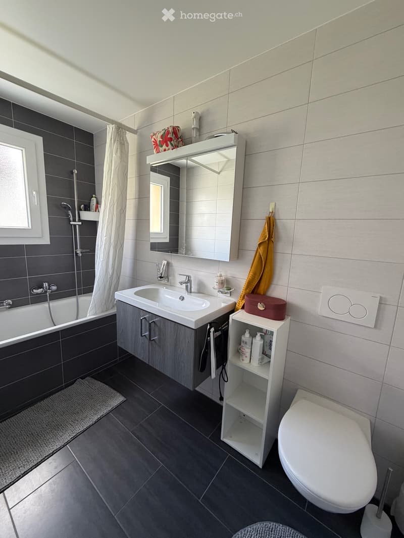 Appartement 3.5 pièces lumineux (4)
