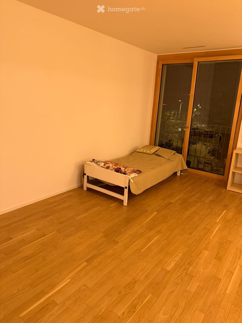 Grand studio libre de suite grand-Lancy Genève (3)