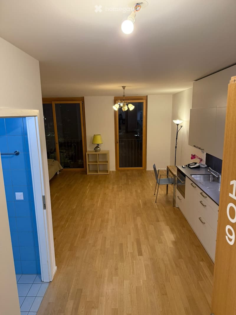 Grand studio libre de suite grand-Lancy Genève (4)