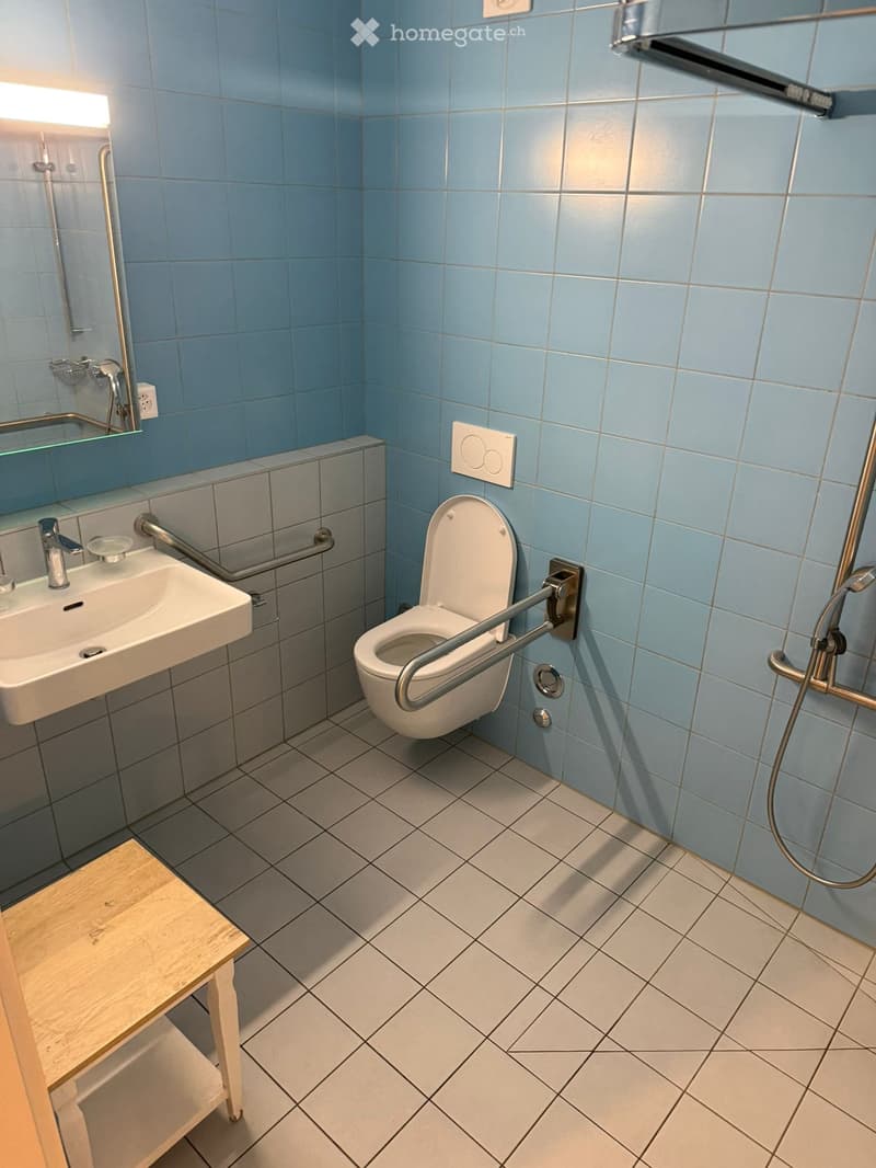 Grand studio libre de suite grand-Lancy Genève (2)