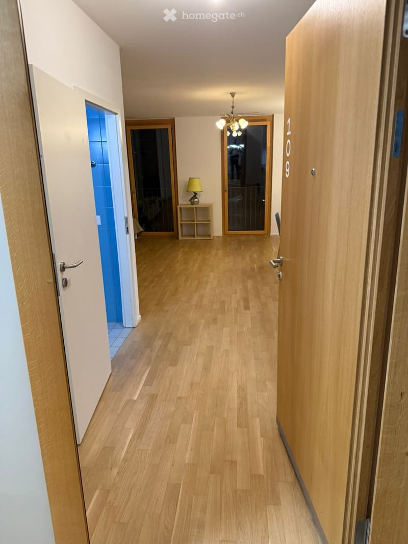 Grand studio libre de suite grand-Lancy Genève (1)
