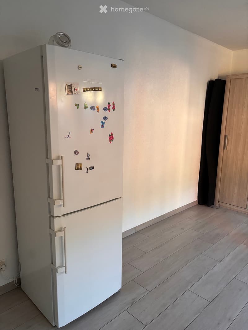 Sous location Forel (4)