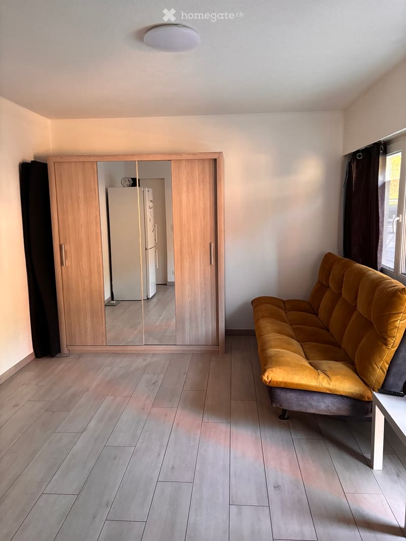 Sous location Forel (1)